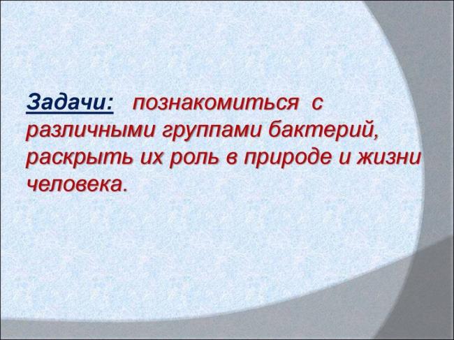 Значение бактерий в природе и жизни человека
