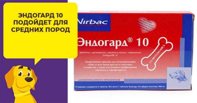 Эндогард 10, табл