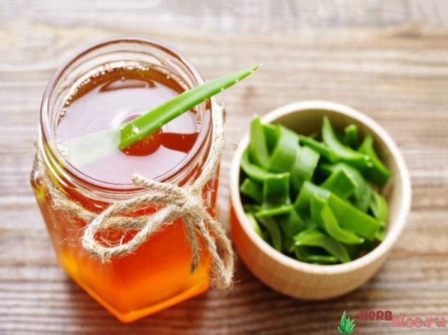 Рецепт от кашля с алоэ и медом