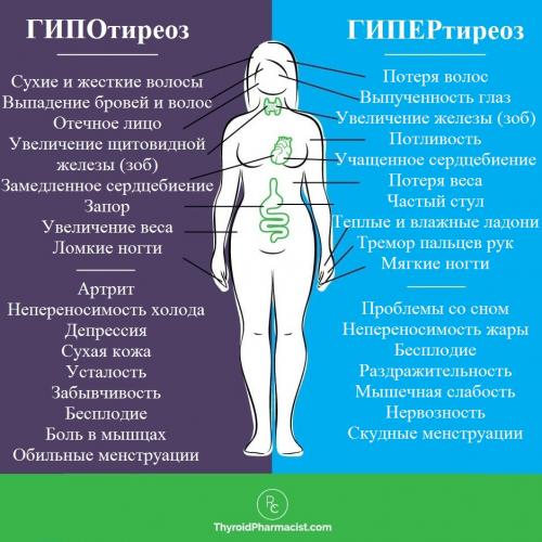Гипотиреоз лечение эндонорм