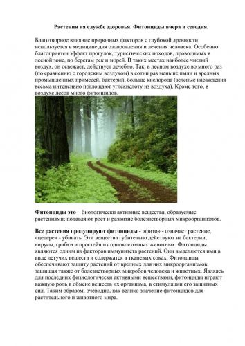 Одноклеточные организмы. 5-й класс