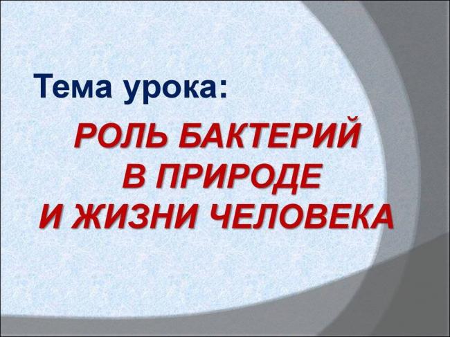 Что важно знать о болезнетворных бактериях, их разновидностях и способах питания