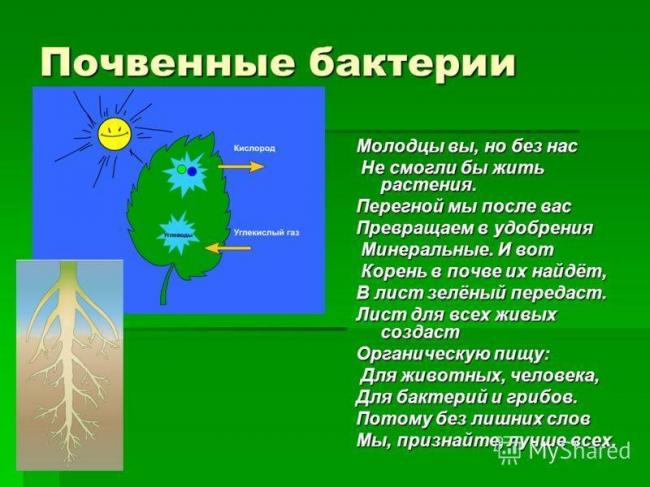 Укажите не менее 3-х отличий — студопедия