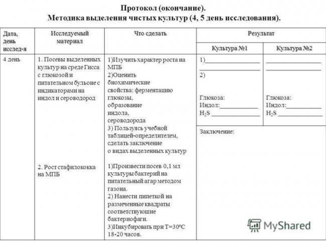 Главные принципы и особенности посева бактерий