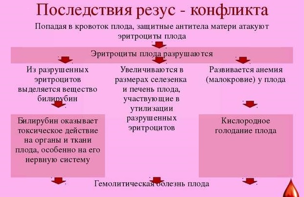 Система антигенов резус фактора