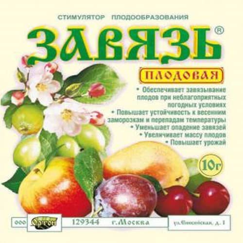 Завязь