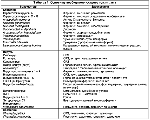 Схемы лечения хронического тонзиллита у взрослых