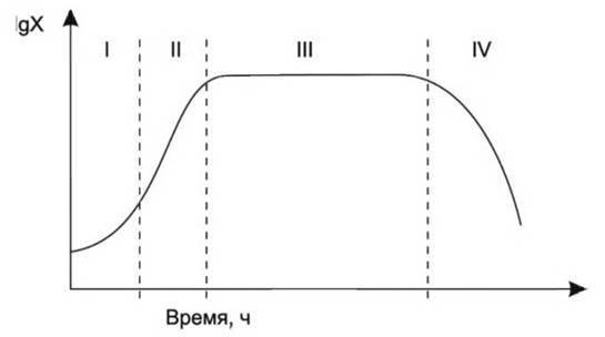Рост и размножение бактерий. фазы размножения популяций бактерий в живой питательной среде в стационарных условиях