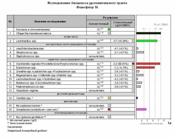 Кокковая флора (кокки) в мазке у женщин: причины, симптомы, лечение, препараты