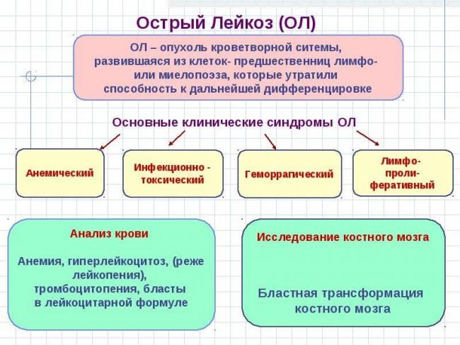 Лейкемия что показывает общий анализ крови