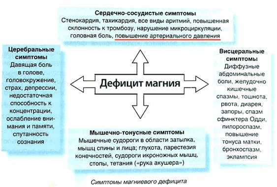 Недостаток магния в организме: симптомы и методы лечения
