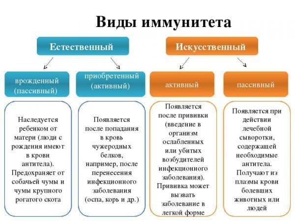 Что такое искусственный пассивный или активный и естественный приобретенный или врожденный иммунитет?