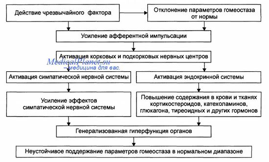 Кортикостероиды