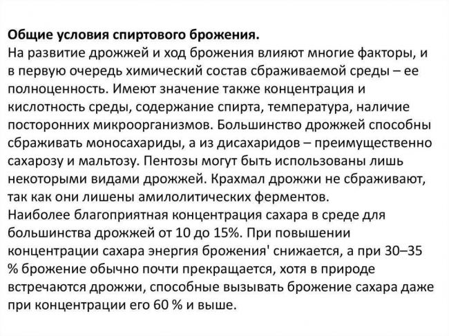 Вредные бактерии: где живут и какие вызывают болезни