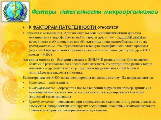 Характеристика основных групп микроорганизмов