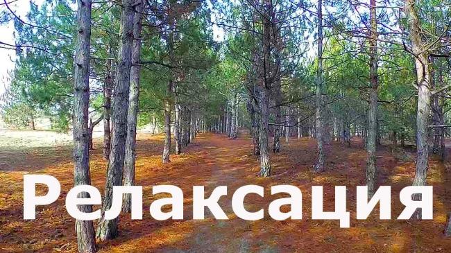 Лечение депрессии. лекарства от депрессии без рецептов. лечебная музыка от депрессии