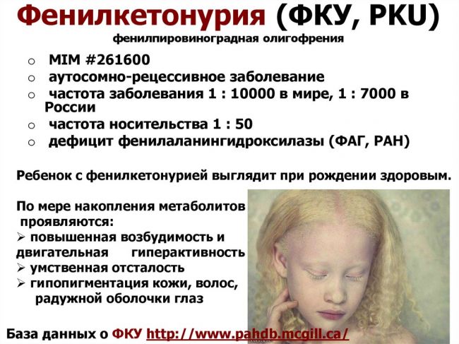 Фенилкетонурия (фку). причины, симптомы, диагностика и лечение фенилкетонурии. лечение фенилкетонурии: диета и питание. :: polismed.com