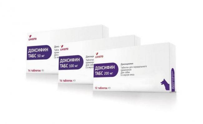 Способы применения и дозировки доксициклина
