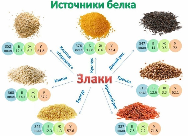 Витаминно-белковая диета для похудения
