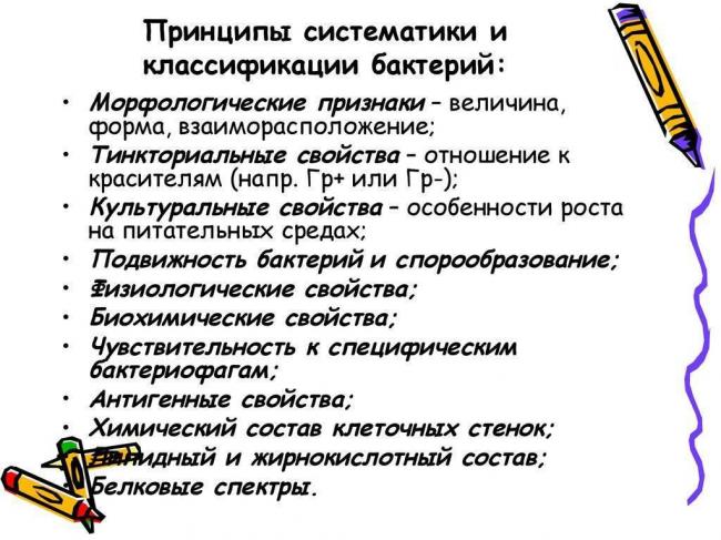 Методы как инструменты изучения бактерий их основных свойств