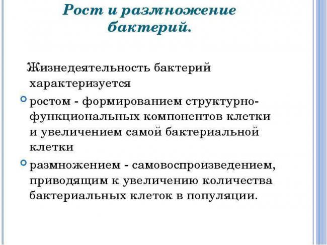 Основные виды деления бактерий и факторы ограничения роста популяции
