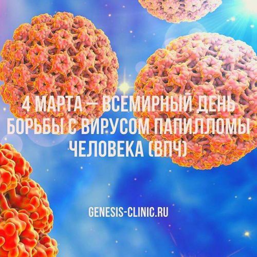 Вакцина от бешенства и алкоголь — почему нельзя пить?