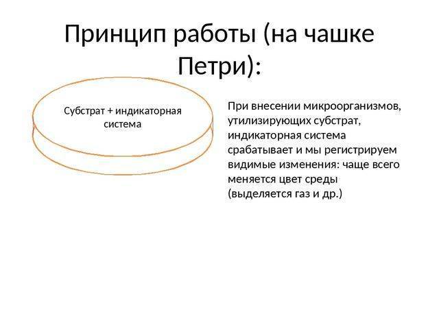 Особенности подбора питательной среды для бактерий
