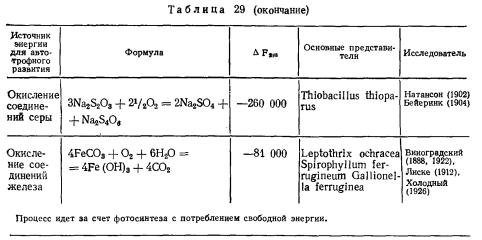 Грибы и их отличия от бактерий