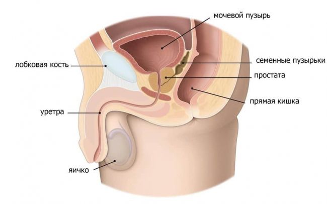 Простатилен ампулы