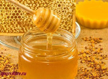Лук с медом от кашля: рецепты для быстрого выздоровления