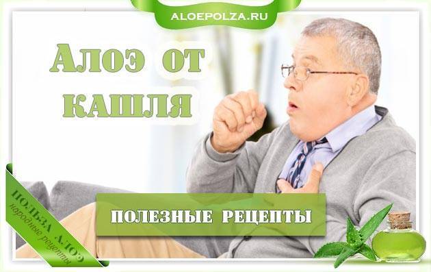 Рецепты домашней медицины от кашля из меда, алоэ и других ингредиентов