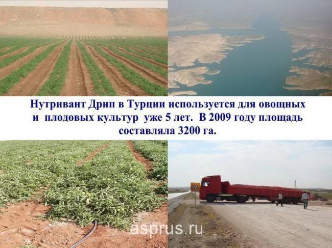 Введите код, указанный на картинке
