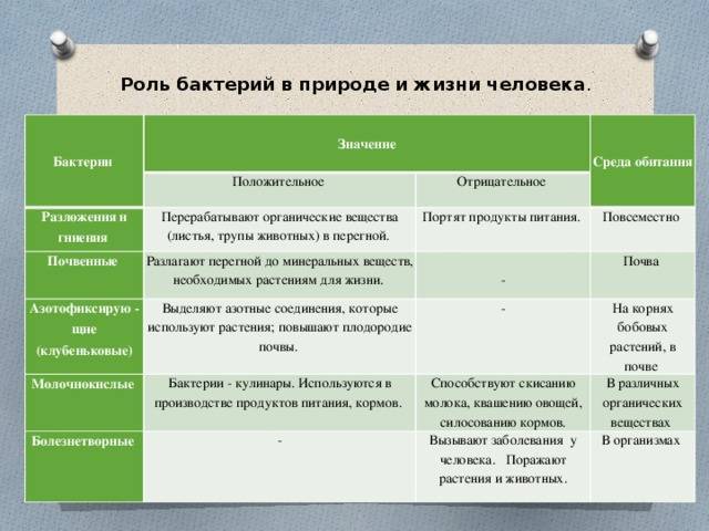 Болезнетворные бактерии — паразиты человека. где живут? какие вызывают болезни?