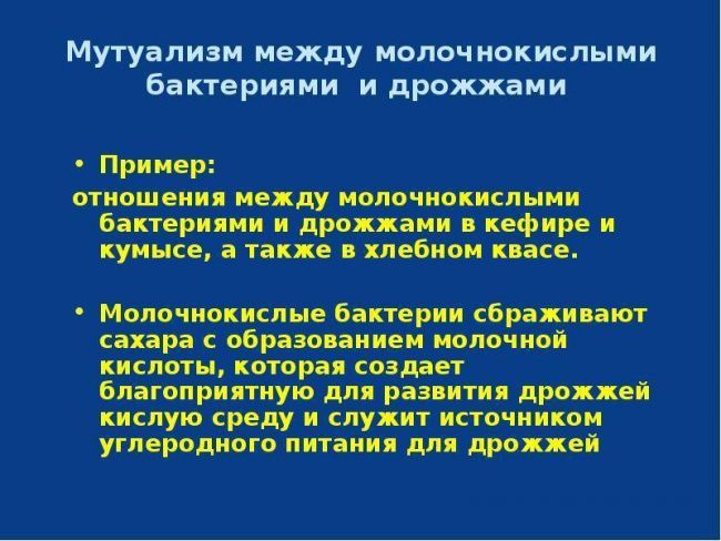 Где и как человек использует бактерии