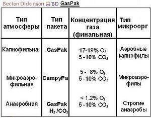 Жизнь на планете всем обязана анаэробным и аэробным бактериям