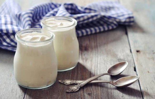 Роль бактерий в изготовлении кисломолочных продуктов