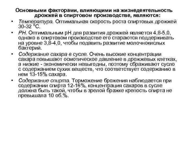 Самые полезные бактерии и их названия