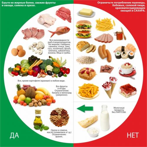 Фитнес-диета для похудения: правильное питание на страже вашей красоты и здоровья