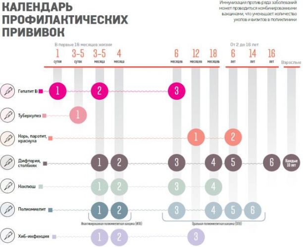 Прививки детям до года: список обязательных вакцин