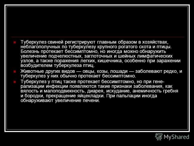Сколько живет и при какой температуре палочка коха в помещении