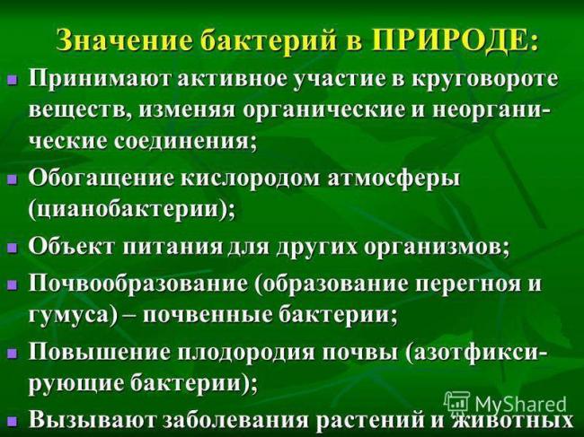 Патогенные или болезнетворные микроорганизмы – причина инфекционных заболеваний