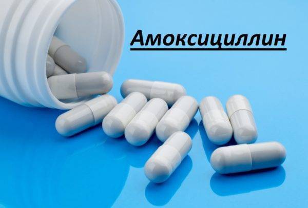 Амоксициллин для собак полное описание препарата, дозировка, противопоказания