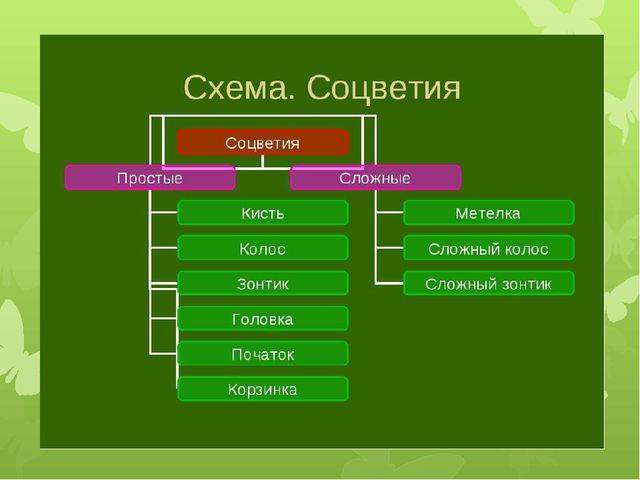 Презентация на тему: "бактерии – древнейшая группа организмов. общая характеристика бактерий бактерии – самая древняя группа организмов. первые бактерии появились, более 3,5.". скачать бесплатно и без регистрации.