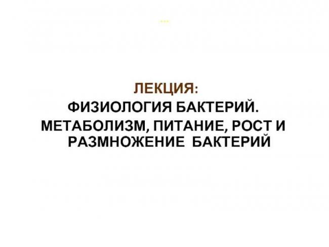 Рост и размножение бактерий — студопедия
