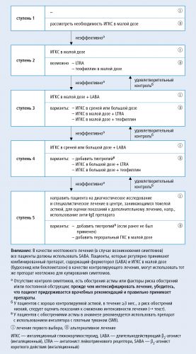 Причины и симптомы обострения бронхиальной астмы, первая помощь и лечение