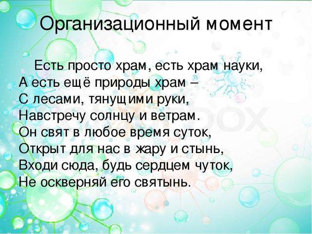 Царство бактерии общая характеристика