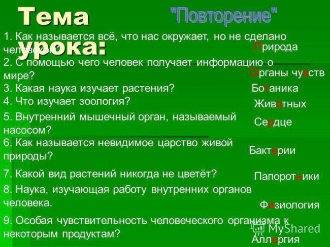 Представители царства бактерий – мельчайшие живые организмы
