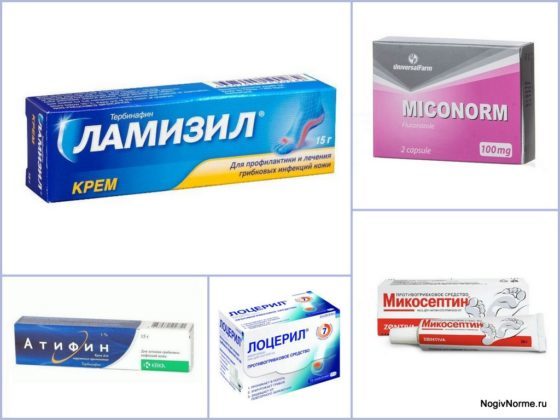 Демиктен: состав и лечебное действие, инструкция по применению