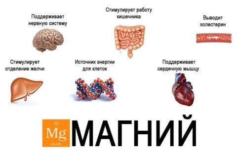Нехватка магния в организме. симптомы у женщин и мужчин