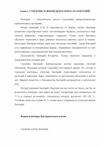 След первой бактерии